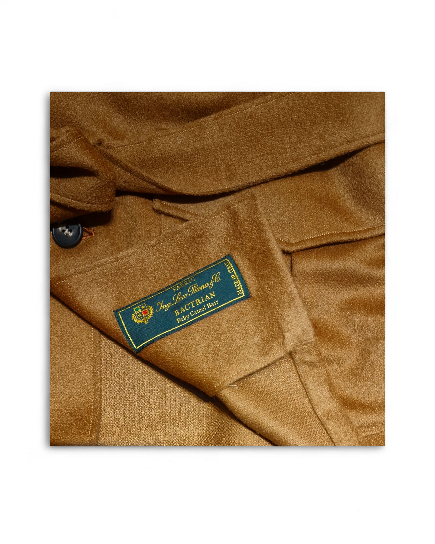 SAHARIANA BABY CAMEL - Sannino